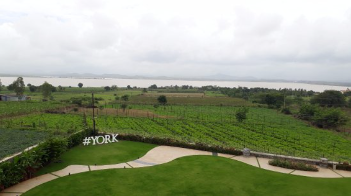 York Winery