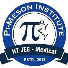 Pi-Meson Institute