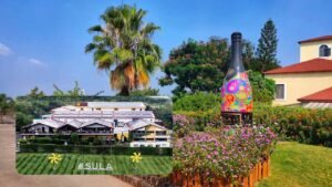 Sula Vineyards in Nashik