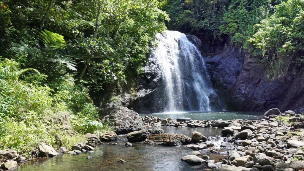 Waterfalls In Nashik